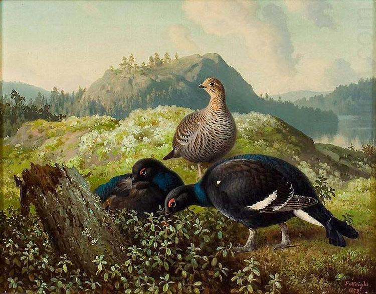 Ferdinand von Wright Black Grouses china oil painting image